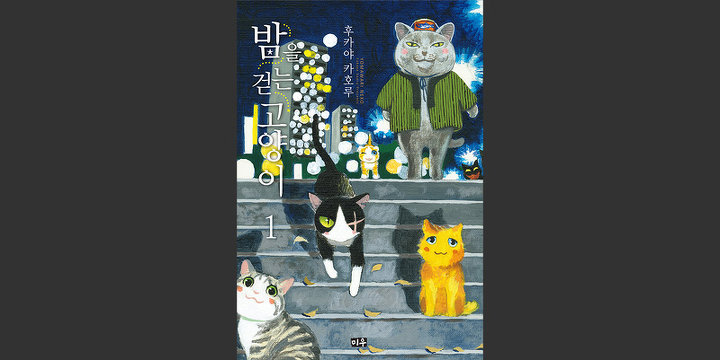 밤을 걷는 고양이