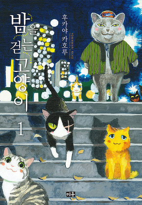 밤을 걷는 고양이