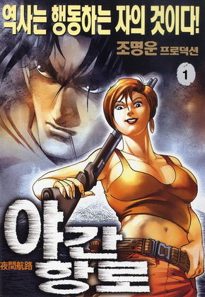야간항로