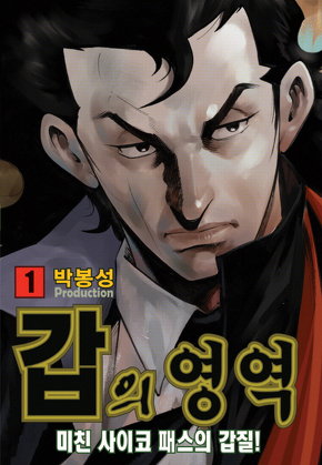 갑의 영역